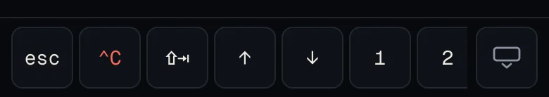 With the keyboard open, one row of keys stays under the terminal: esc, ^C, mode (⇧⇥), ↑, ↓, 1, 2 and hide keyboard.