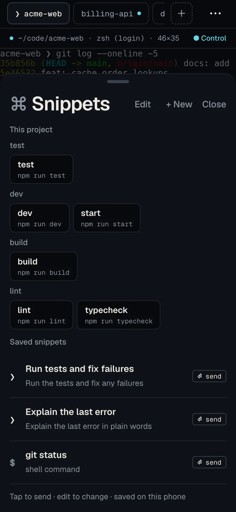The Snippets sheet lists the project’s own commands, such as test, dev, build and lint, above the saved snippets.